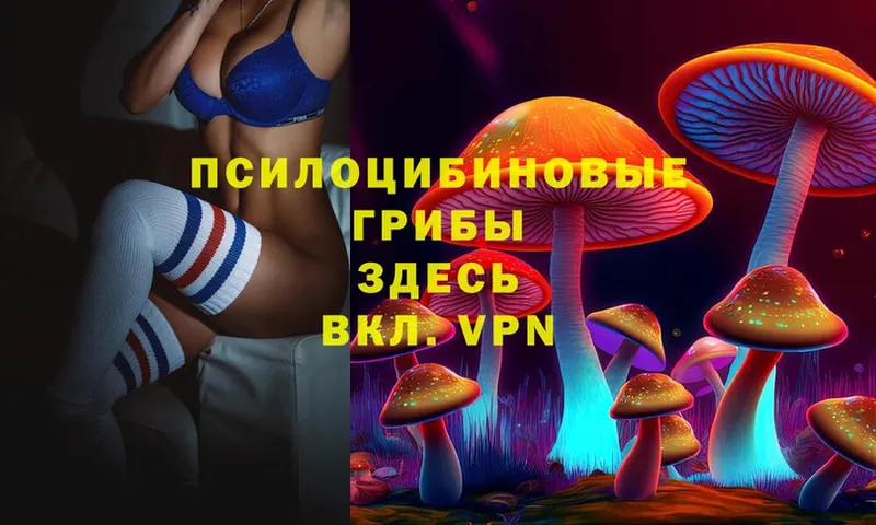 Галлюциногенные грибы Cubensis  что такое наркотик  Усть-Джегута 